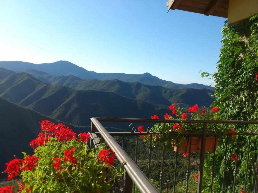 Agriturismo Al Pagan Pigna Exterior photo