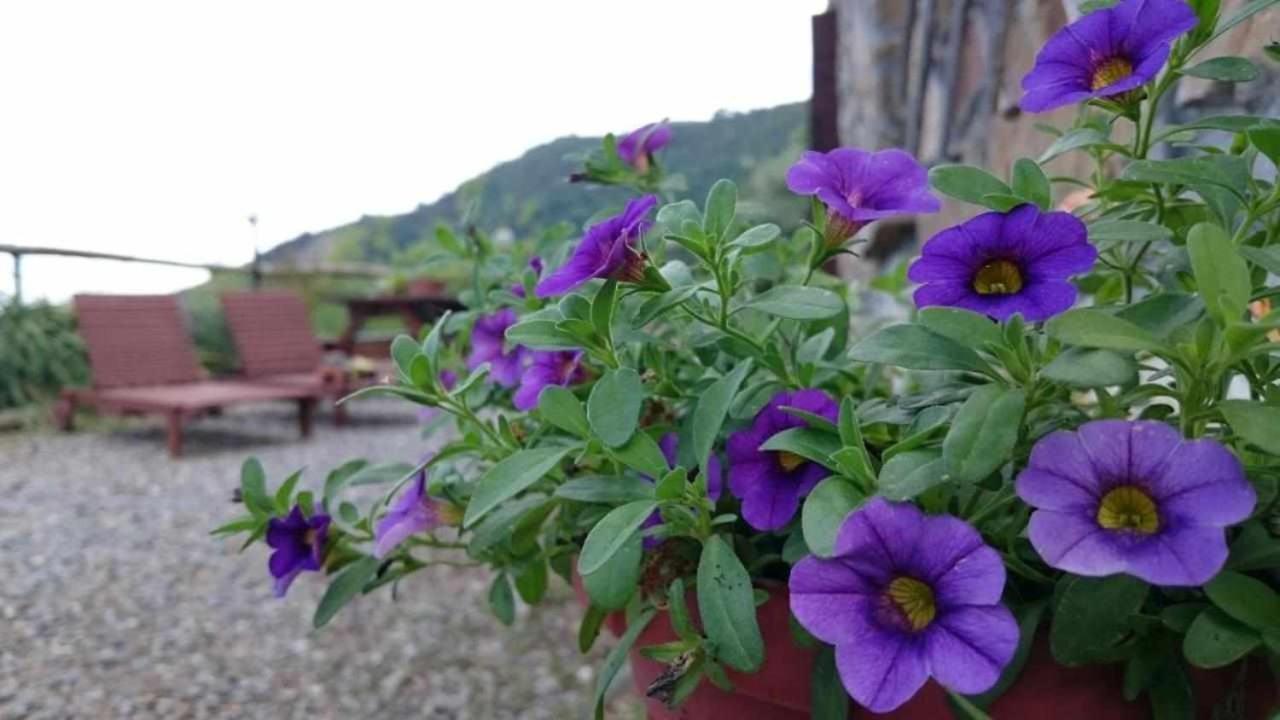 Agriturismo Al Pagan Pigna Exterior photo