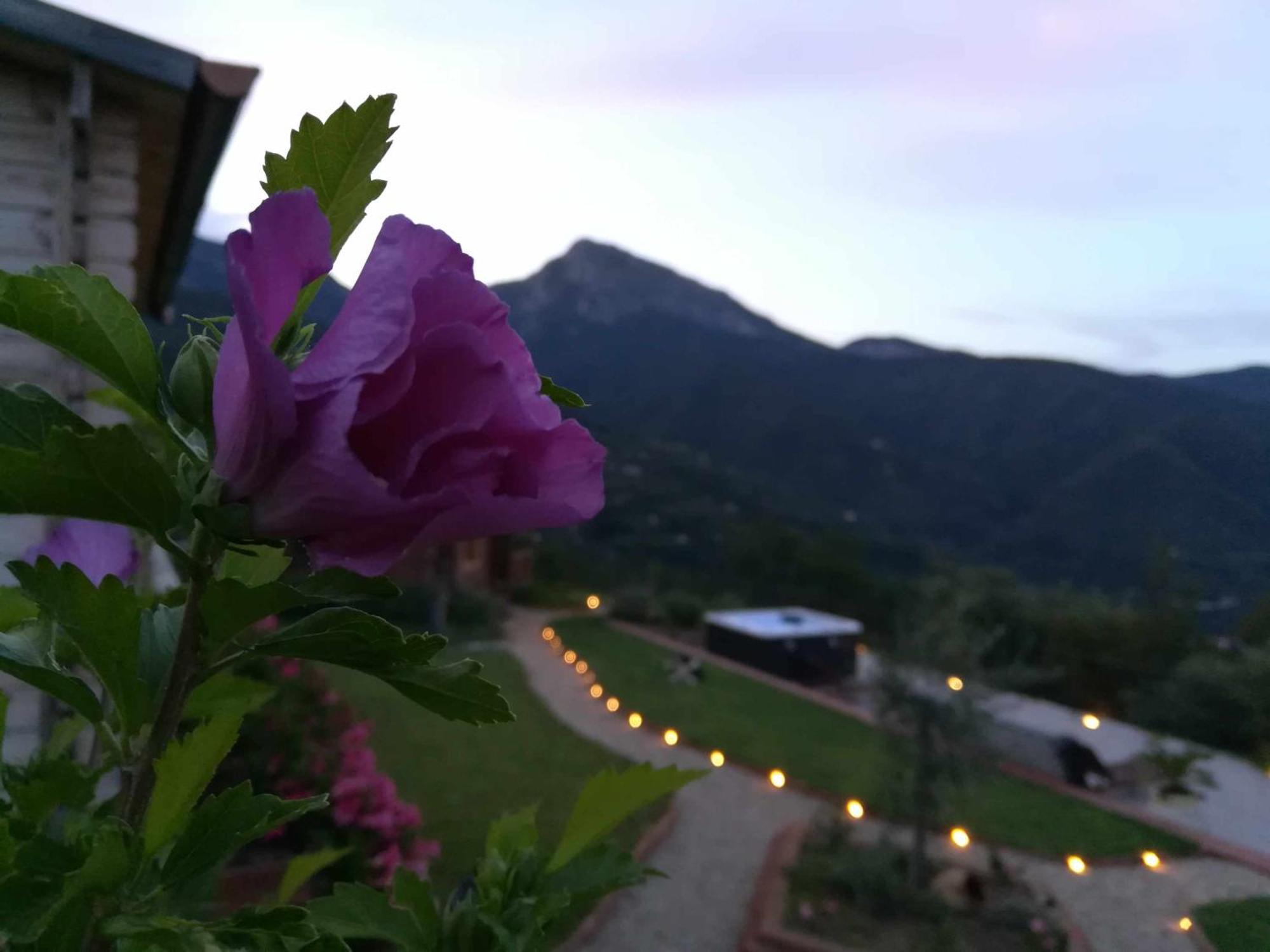 Agriturismo Al Pagan Pigna Exterior photo